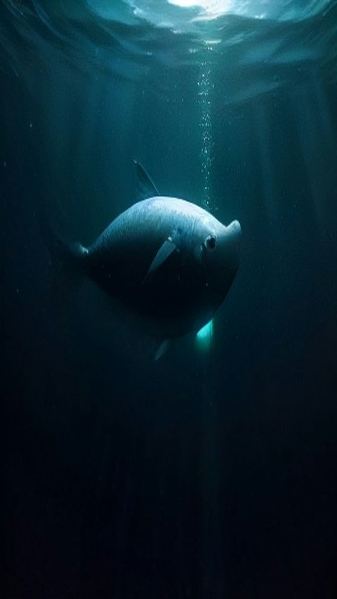 Fathom X Deep Sea Documentary